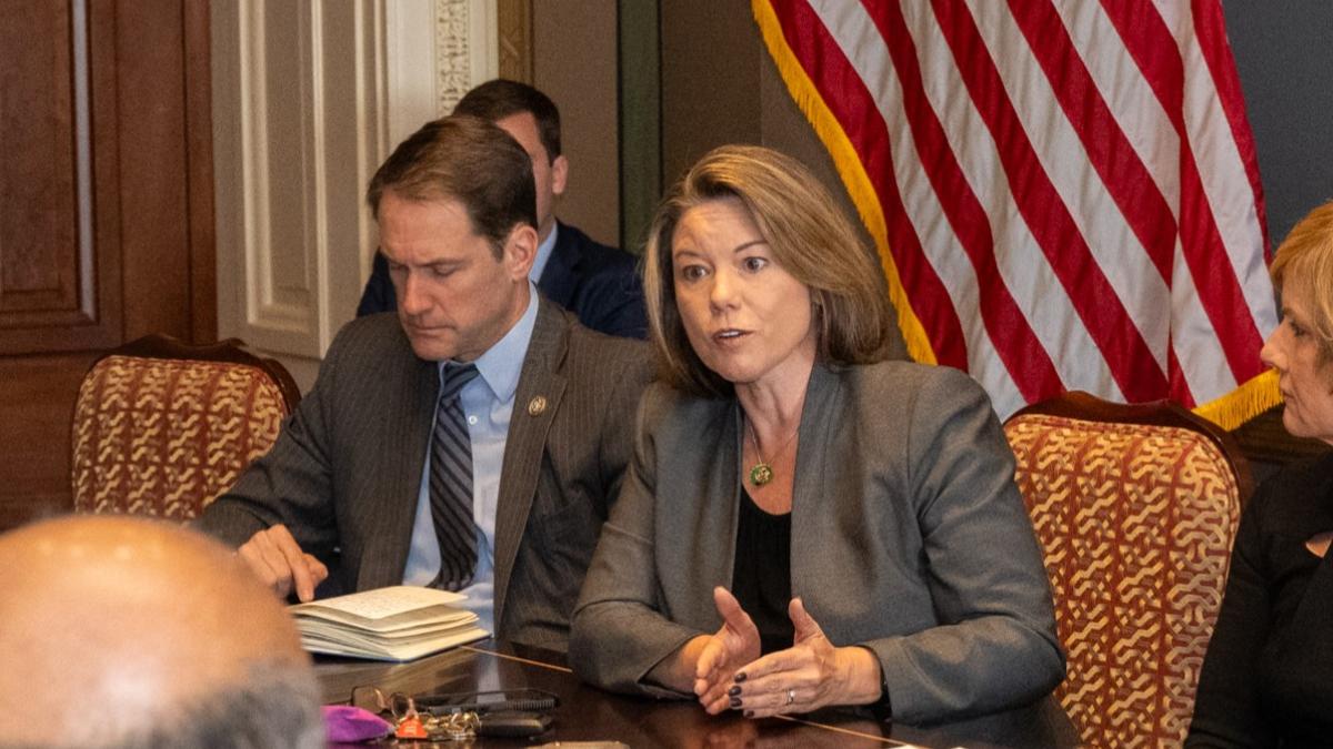 Rep. Craig addressing colleague at meeting