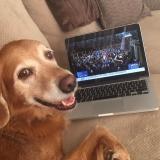 Angie & Cheryl's Dog, Summitt